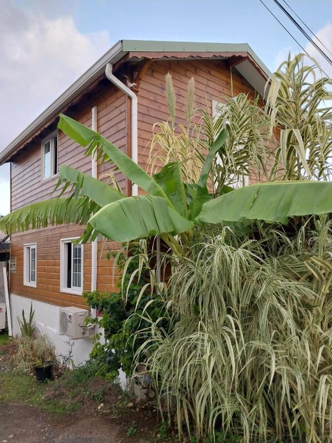 Le Cosy Bungalow De Lili / 5Min De L'Aeroport Les Abymes Exteriör bild